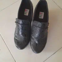 مجلسی سایز ۴۰ در حد نو|کیف، کفش، کمربند|فولادشهر, مسکن مهر فولادشهر|دیوار