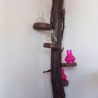آباژور تنه درخت
