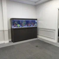آکواریوم \ریملس \نصب آکواریوم \سرویس\ طراحی مشاوره