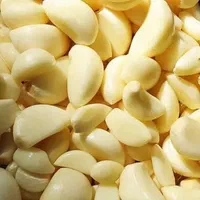 سبزیجات آماده و صیفی جات|خوردنی و آشامیدنی|مشهد, بهارستان|دیوار