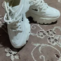 کفش|کیف، کفش، کمربند|فریدون‌کنار, |دیوار