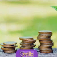 ** وام طرح مهربانی و اعتبارملی**