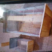 تله موش  تله گربه