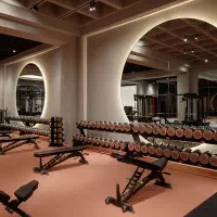 آینه بک لایت گرد مستطیل مناسب باشگاه بدنسازی سالن|آینه|همدان, |دیوار