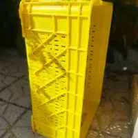 سبد مرغ