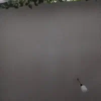 محلی  لوتین تا پنج ملیون