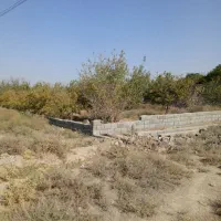 زمین ۱۲۰۰ متری دو بحر کیکاور  باغی