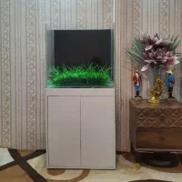 آکواریوم شیشه خم