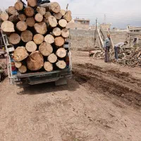 خرید انواع چوب