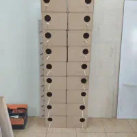 لونه انواع طوطی سانان