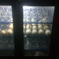 دستگاه سترشترمرغ|ماشین‌آلات صنعتی|شیروان (خراسان), |دیوار