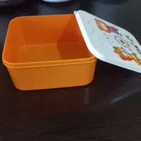 سبد و و ظرف غذا و میوه و سطل زباله|ظروف نگهدارنده، پلاستیکی، یکبارمصرف|تهران, هفده شهریور|دیوار