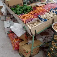 پالت میوه و صیفی جات|فروشگاه و مغازه|کرج, محمود آباد|دیوار