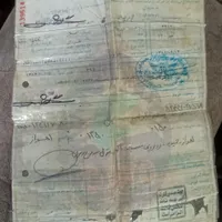 سند موتور گم شد