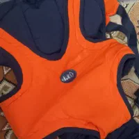 دو عدد کریر و یک اغوش بند