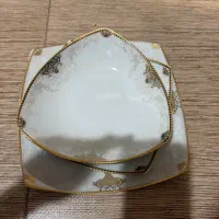 سرویس پردیس