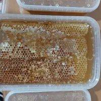 عسل درجه یک چین اول
