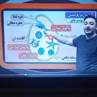 فروش پکیچ کامل نهایی و کنکور موسسه حرف آخر تجربی