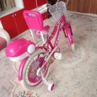 دچرخه بچه گانه نو نو|دوچرخه، اسکیت، اسکوتر|همدان, |دیوار