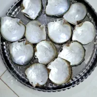 صدف براق|ماهی|اسفراین, |دیوار