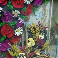 فروش باکس گل خشک طبیعی نو|گل مصنوعی|شیراز, زرهی|دیوار
