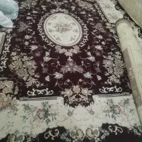 فرش 12 متری|فرش|قزوین, |دیوار