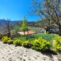 1000متر-مسکونی-سند-تک-برگ