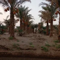 تور گردشگری چاه عروس و مرنجاب