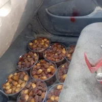 خرما کیلویی|خوردنی و آشامیدنی|مشهد, ده دی|دیوار