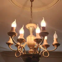 دو عدد روستر اب طلا