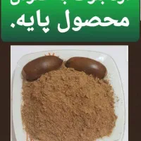 آرد بلوط پایتخت