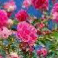 تسبیح و صلوات برای رفع مریضی و حاجات با هزینه کم