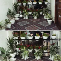 سوییت دربستی مطمعن دوخوابه پاسخگویی 24 ساعته|اجارهٔ کوتاه‌مدت آپارتمان و سوئیت|آستارا, |دیوار