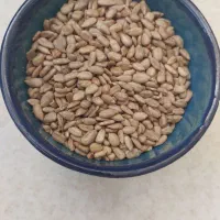 مغز تخمه بو داده