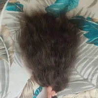 مو مو