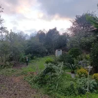 301 متر زمین املش