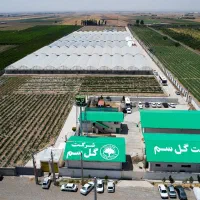 فیلمبردای هوایی هلی شات، و تدوین انواع پروژه ها|خدمات پذیرایی، مراسم|کرج, گوهردشت|دیوار
