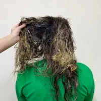 آموزشی|خدمات آموزشی|رشت, یخسازی|دیوار