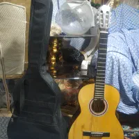 گیتار ساختِ دست دیاموند(چوب بی‌نظیر و صدای محشر)