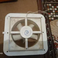 فن سالم