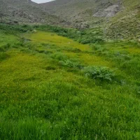 یک-قطعه-زمین