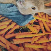 فرش ماشینی کودک