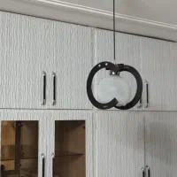 دو عدد لوستر