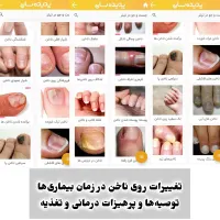 زالودرمانی تخصصی حجامت وبادکش|خدمات آرایشگری و زیبایی|مشهد, رضاییه|دیوار