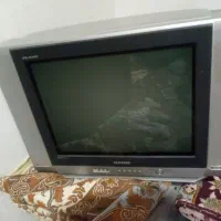 تلویزیون