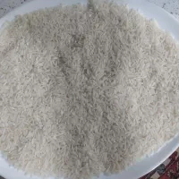 برنج هاشمی دره‌رود