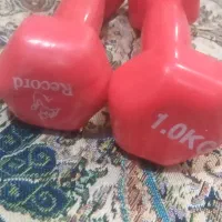 دمبل ورزشی|تجهیزات ورزشی|مشهد, پنجتن|دیوار