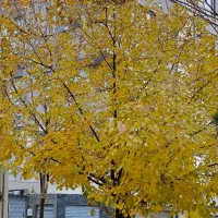 راهنمایی موتور