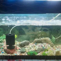 اکواریوم ب اندازه امتردرنیم متربسیاربزرگ