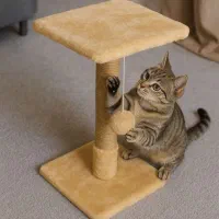 اسکرچر گربه عمده و تک